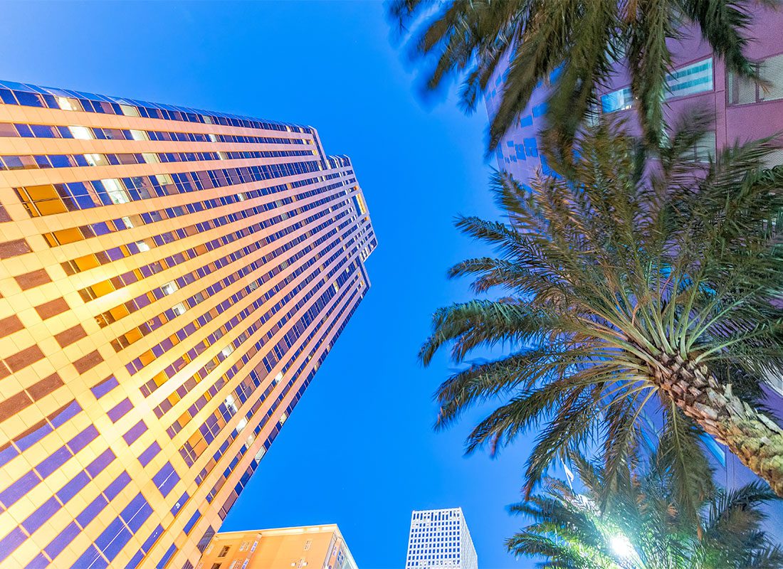 About Our Agency - View from the Ground Up of Palm Trees Next to a Tall Modern Commercial Building in Downtown New Orleans Louisiana Against a Bright Blue Evening Sky